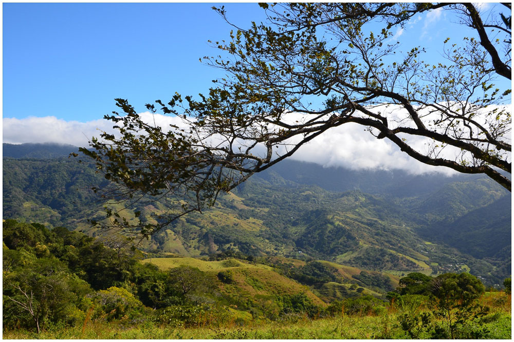 Das perfekte Reiseziel: Costa Rica costa_rica_LittleBlueBag_Reiseblog-1565