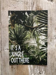 LittleBlueBag Postkarte 05 Palme Dschungel Jungel