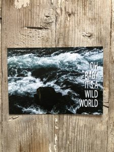 LittleBlueBag Postkarte 15 wild world